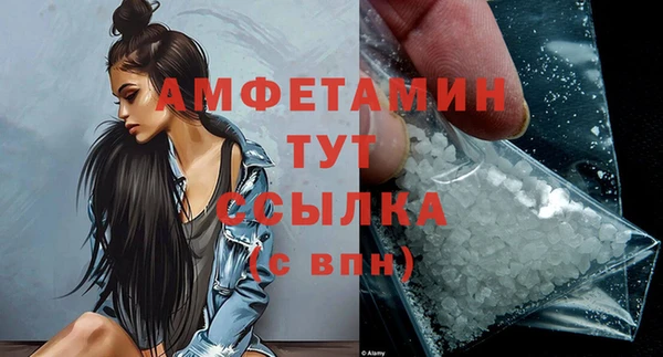 гашик Алексеевка