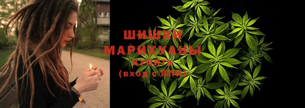 дживик Нестеровская